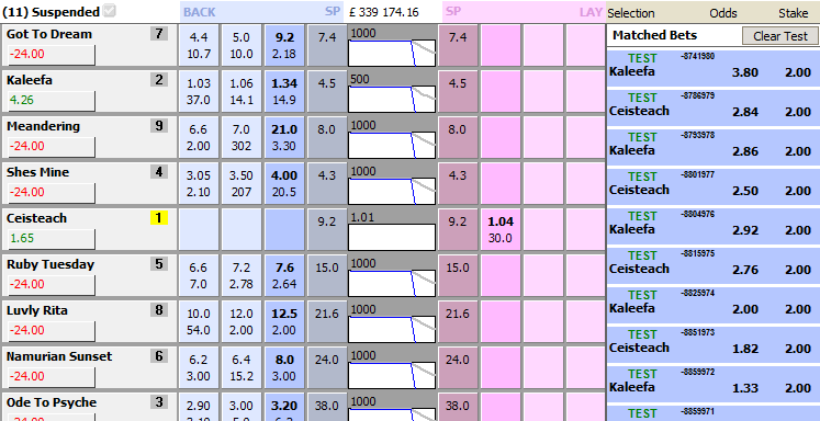 Конец скачки